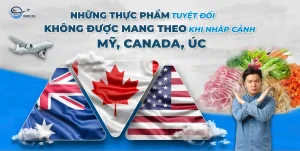 Những thực phẩm tuyệt đối không được mang theo khi nhập cảnh Mỹ, Canada, Úc