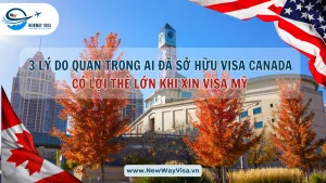 3 Lý Do Quan Trong Ai Đã Sở Hữu Visa Canada Có Lợi Thế Lớn Khi Xin Visa Mỹ