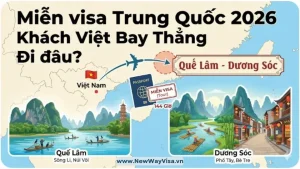Miễn Visa Trung Quốc 2026 Khách Việt Bay Thẳng Đi đâu