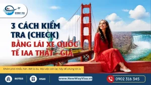 3 Cách Kiểm Tra (Check) Bằng Lái Xe Quốc Tế IAA Thật - Giả