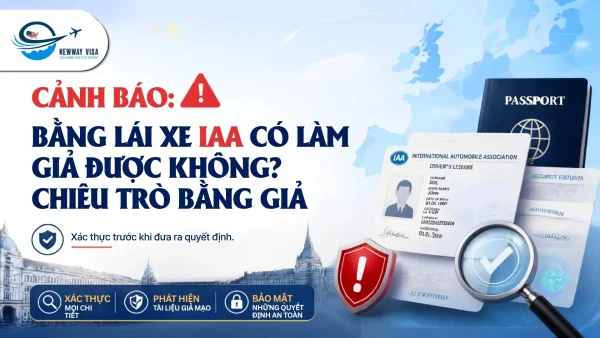 Bằng Lái Xe IAA Có Làm Giả Được