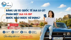Bằng Lái Xe Quốc Tế IAA Là Gì