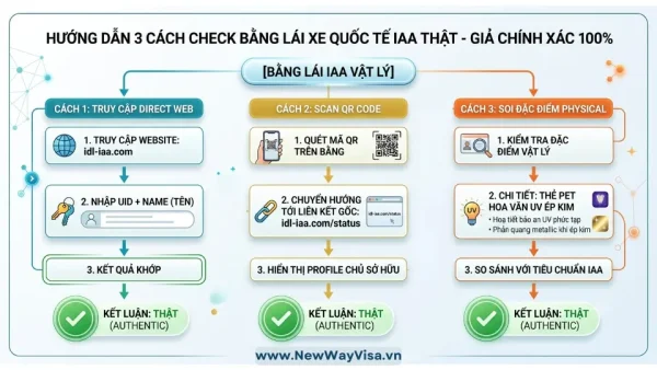 Sơ đồ quy trình tra cứu bằng IAA thật chuẩn quốc tế