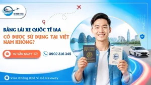 Tác động trực tiếp đến đương đơn